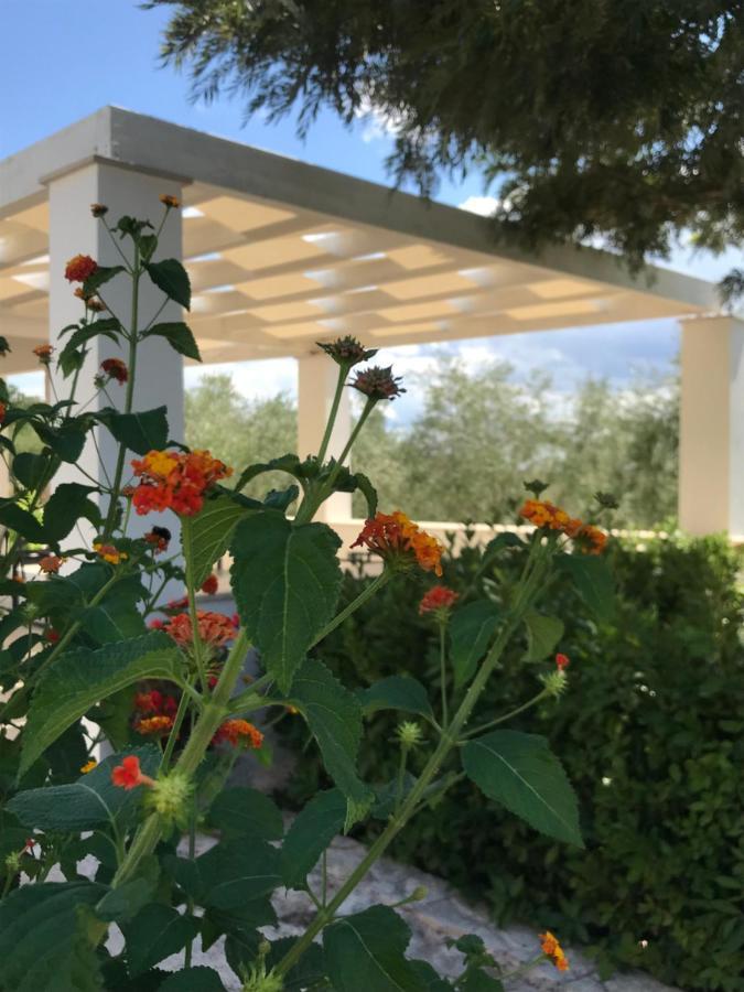 Il Quieto Uliveto Villa Ostuni Bagian luar foto