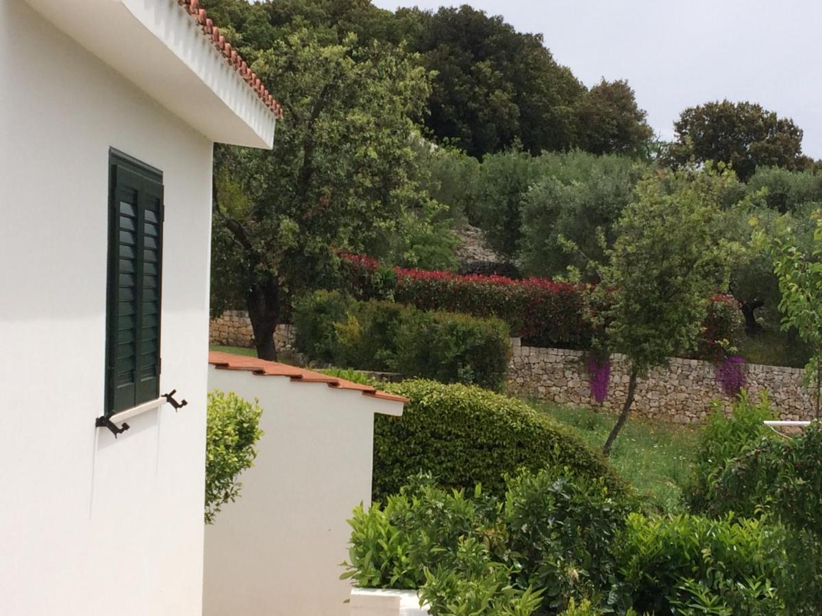 Il Quieto Uliveto Villa Ostuni Bagian luar foto