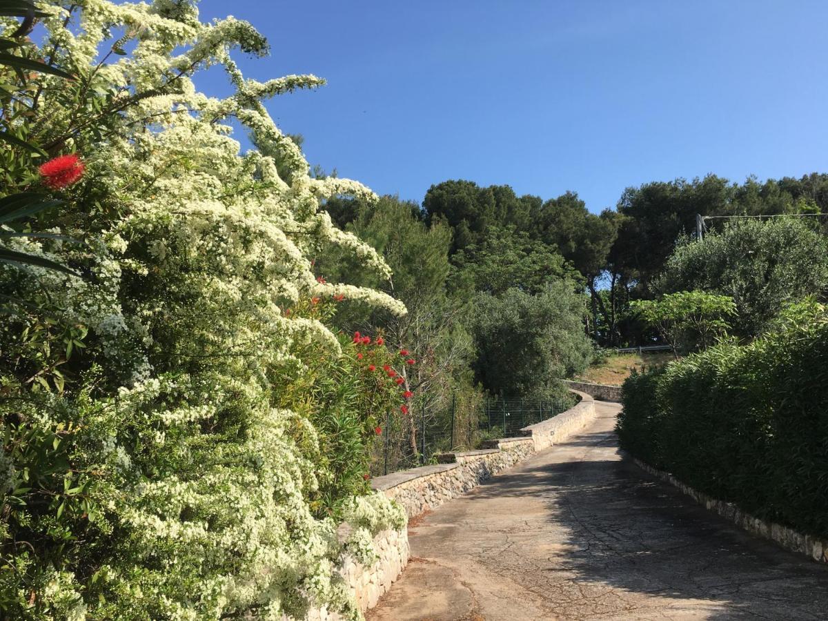 Il Quieto Uliveto Villa Ostuni Bagian luar foto