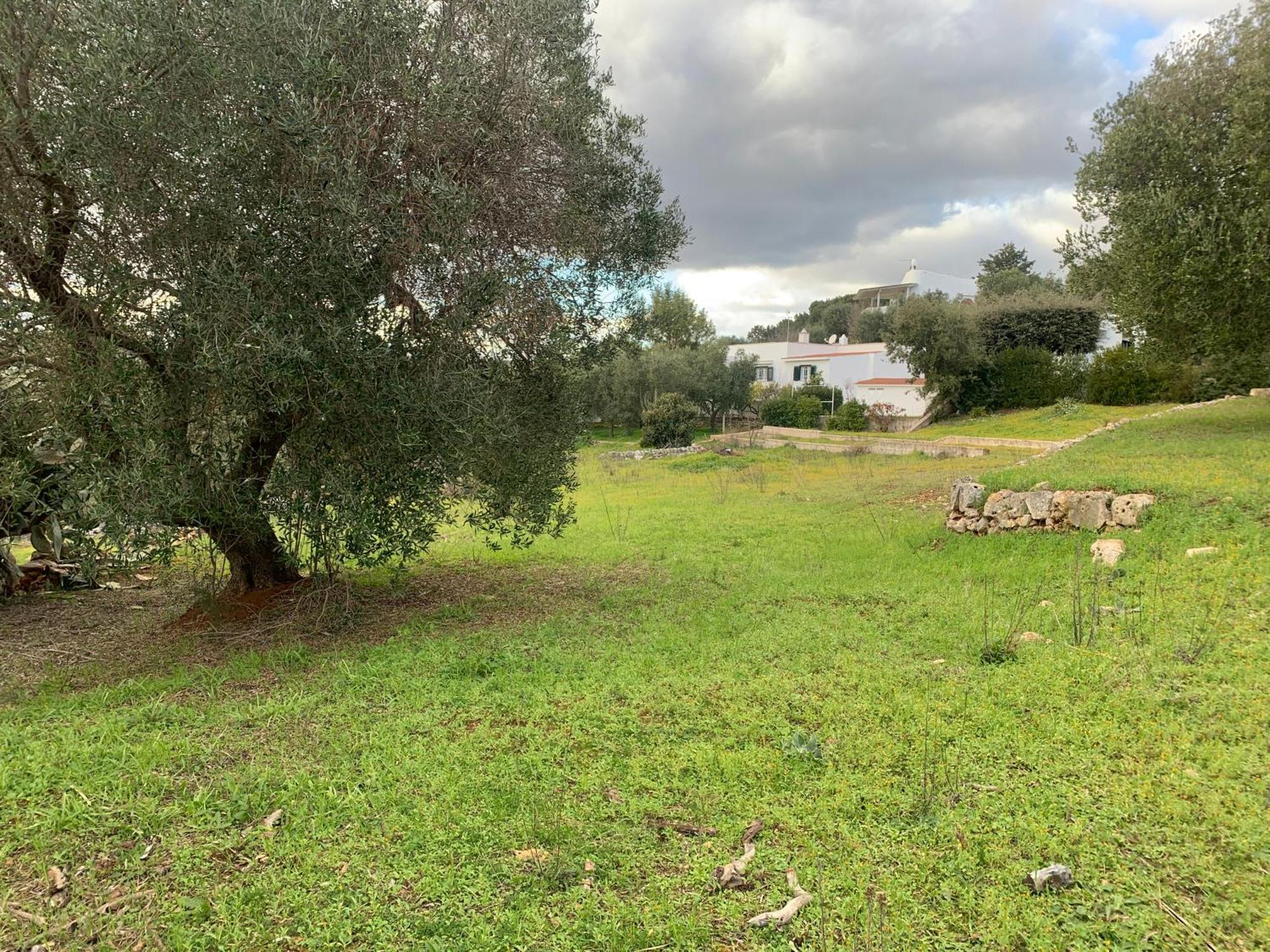 Il Quieto Uliveto Villa Ostuni Bagian luar foto