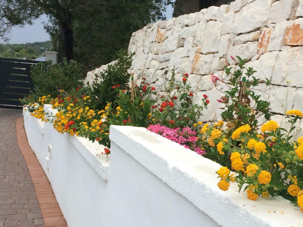 Il Quieto Uliveto Villa Ostuni Bagian luar foto